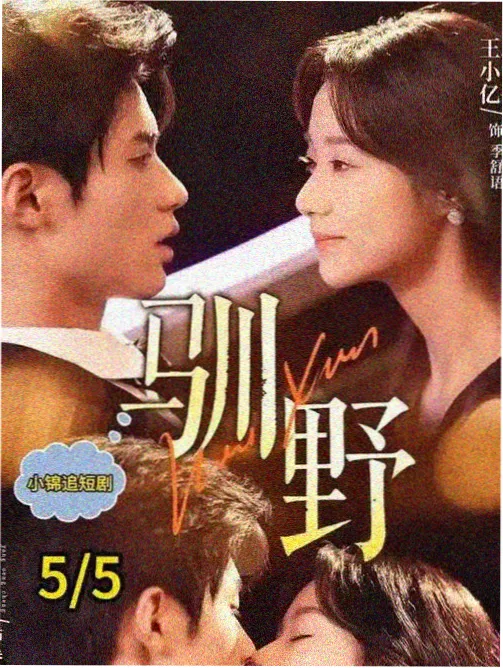 主场优势剧集封面